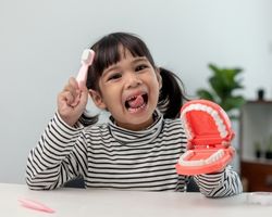 Care for Your Toddlers Teeth - Brampton Dental Office that caters to Children